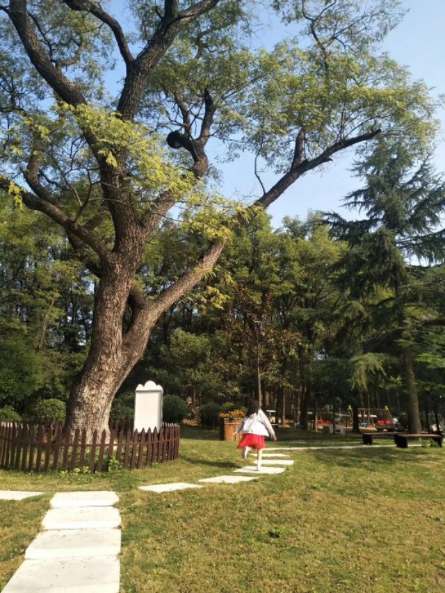 閭冲窞鑹惧北鏅尯,閭冲窞鑹惧北鍦伴渿