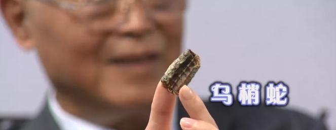 黄帝内经治疗湿疹的秘方,天一冷皮肤就痒怎么办