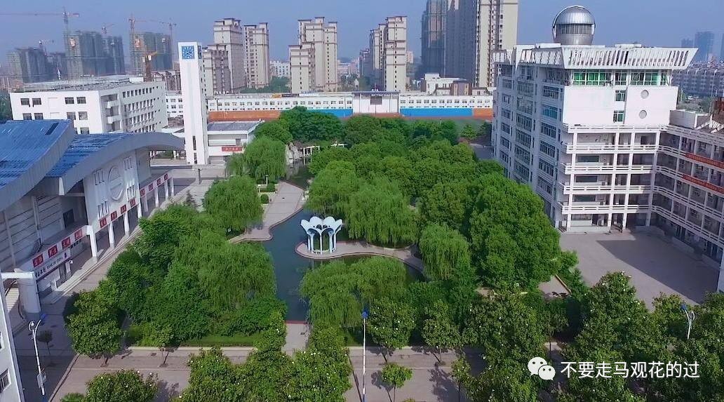 往事只能回味回忆的美好,往事只能回味感悟