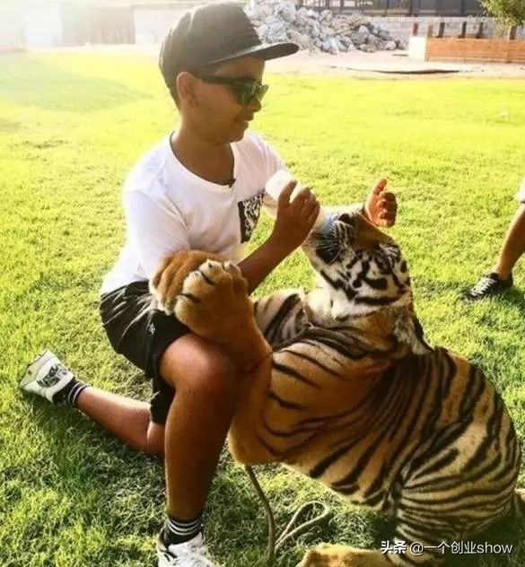 看看别人家的小孩,看看别人家的孩子