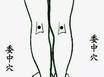 穴位就是中药12个经典养生穴,穴位是中药经络是药方