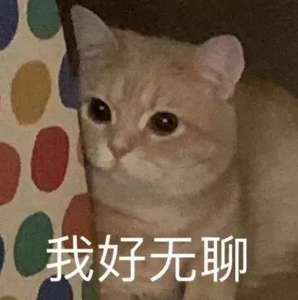 表情包搞笑沙雕惊讶的表情包,沙雕搞笑表情包动态