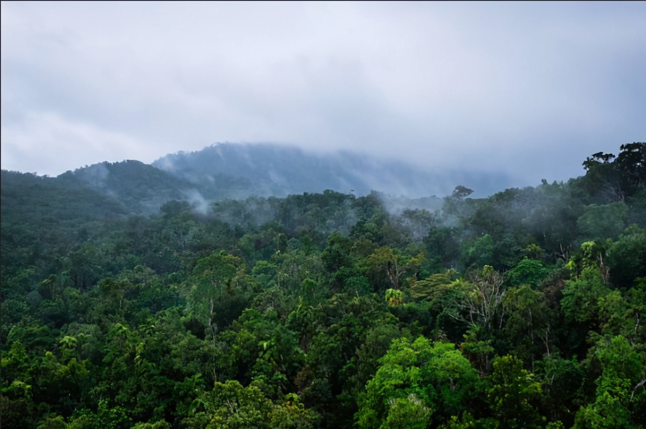澳大利亚值得孩子去的旅游,春节去澳大利亚旅游