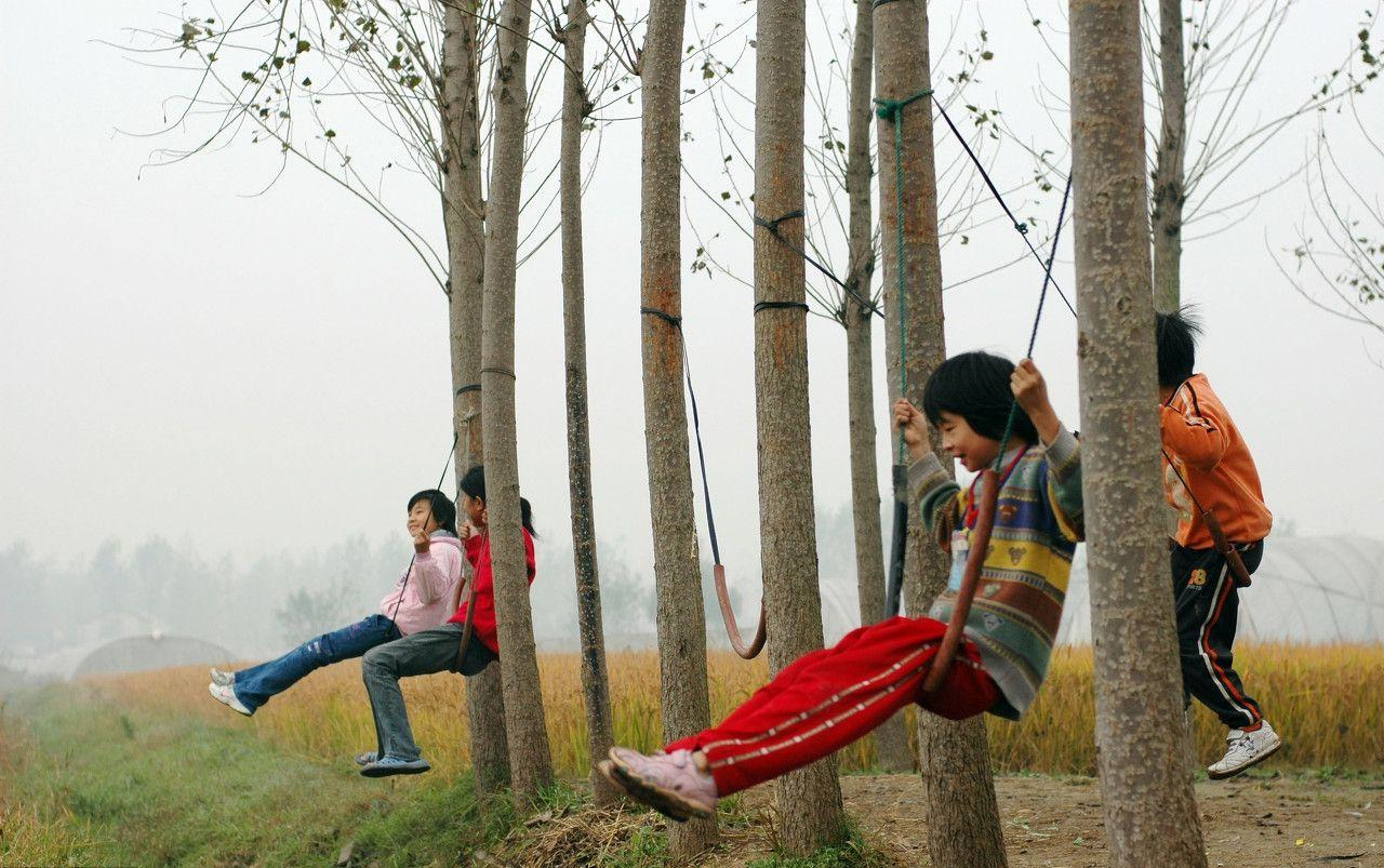 进口粮食和国内自产价格,俄罗斯和美国的粮食对比