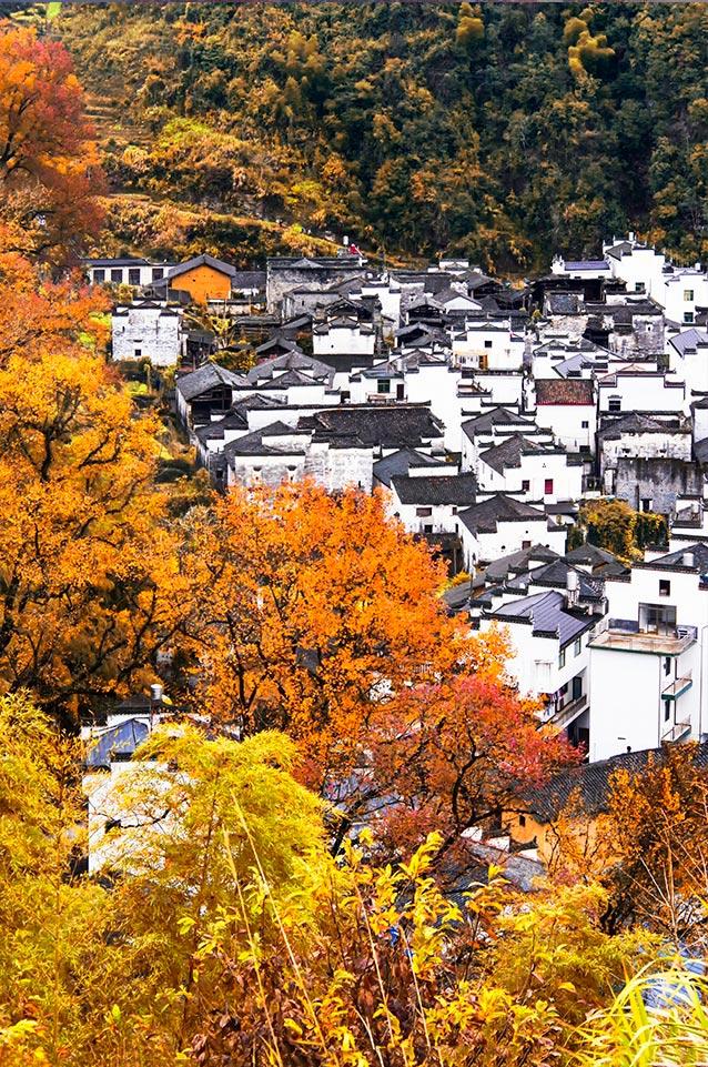 臻选人文度假品牌开山之作，惊艳问世，与月途看尽婺源千面之美