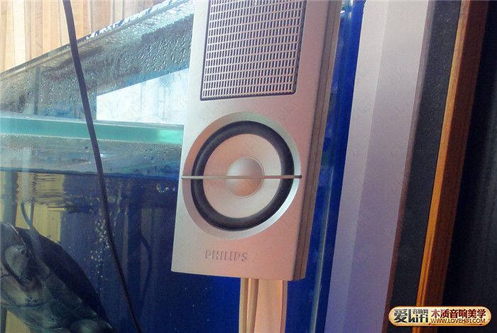 不跟风不山寨,不跟风不信邪