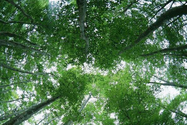 怎么看出学围棋的天赋,围棋真的只是天赋吗