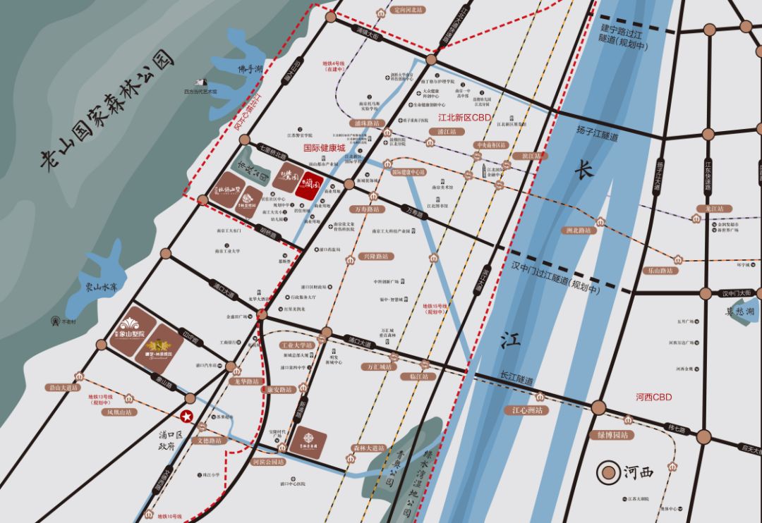 自贸区小高层哪家好 (自贸区小高层)