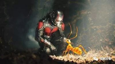 复仇者联盟观看顺序完整版,复仇者联盟全部观看顺序