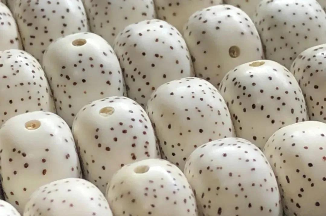 星月菩提阴皮是什么意思,星月菩提的阴皮怎么形成的