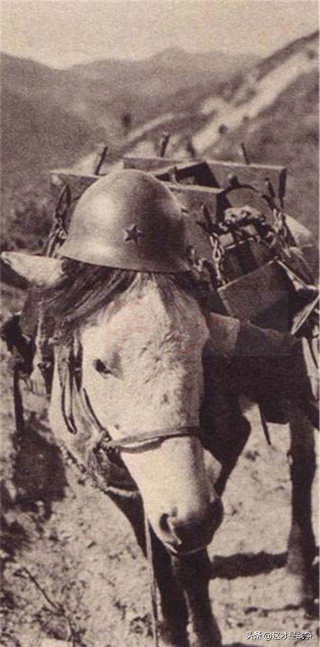 盘点地雷战中的抗日神剧,地雷战电视剧是不是抗日神剧