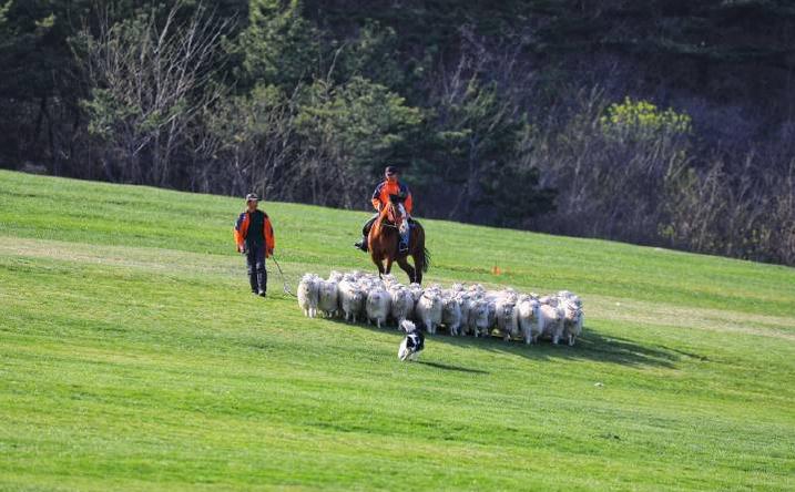 避暑亲子旅游推荐5天游,暑期草原亲子游攻略