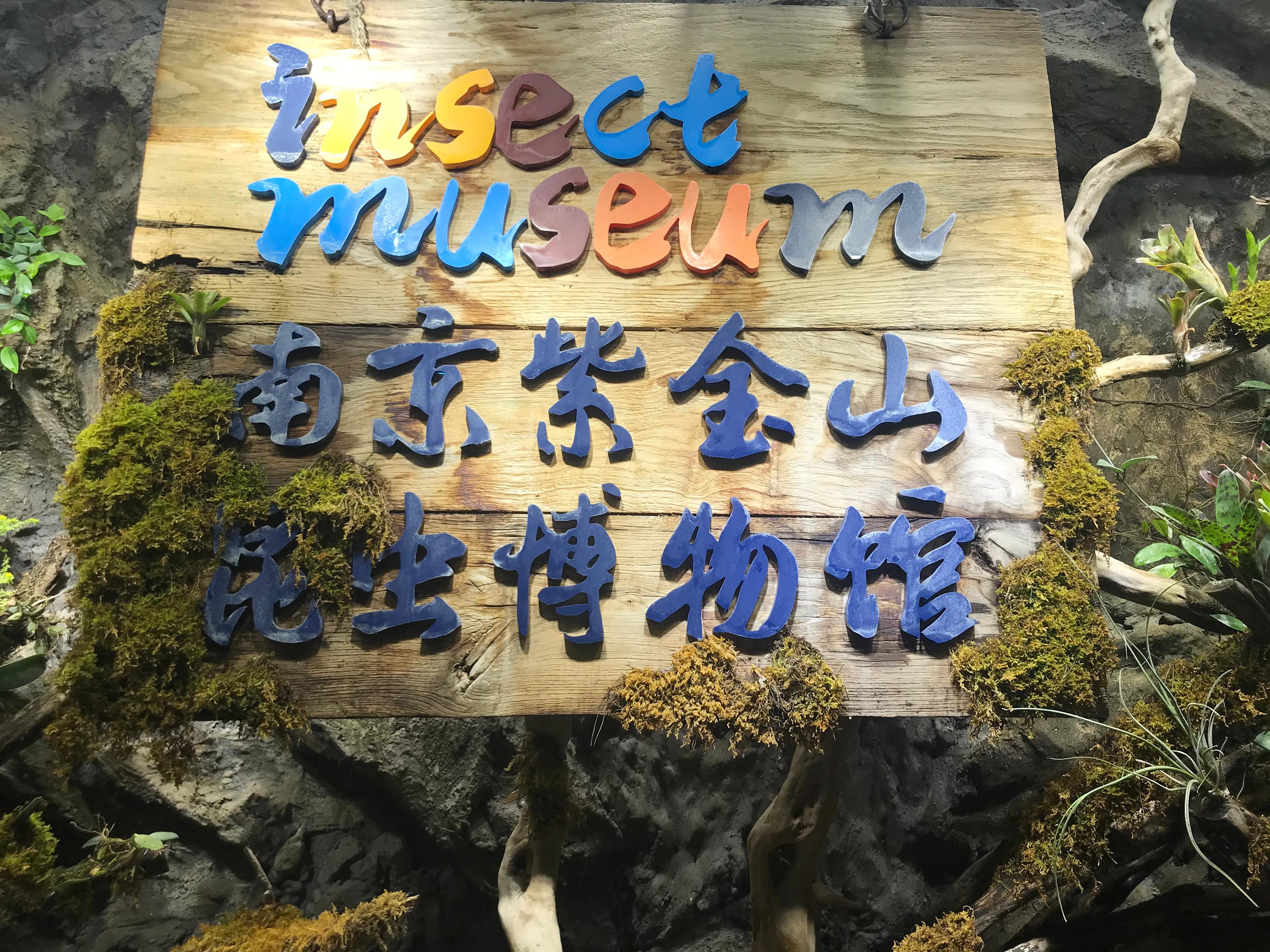 喜欢昆虫的孩子应该怎么培养,小时候喜欢昆虫长大了却不喜欢了