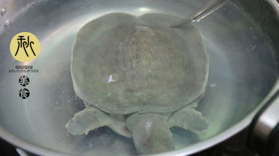甲鱼汤如何去腥味,甲鱼汤怎么去腥味