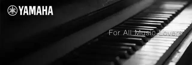 赤峰雅马哈nmax,赤峰雅马哈电子琴