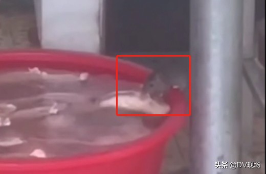 灏忓鎹嗙粦鏀惰垂,瀛︾敓涔辨敹璐硅瀹堕暱涓炬姤