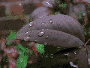 摄影色彩基础知识大全,摄影中如何更好更巧妙的运用色彩