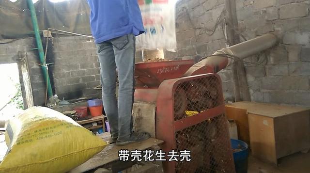 专家说农村自榨花生油不能吃,小伙公开榨油过程,专家不说话了
