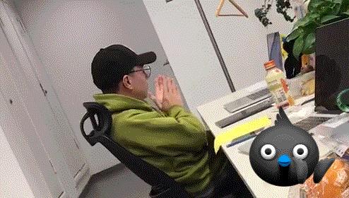 阿里动物王国再添成员,钉钉以燕子为形象,打造“钉三多”品牌IP