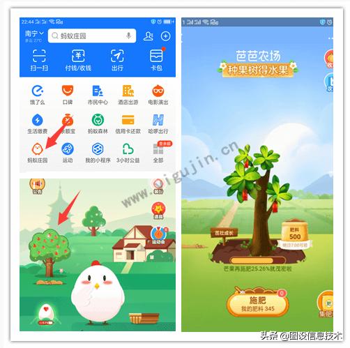 芭芭农场免费领的水果是什么样的,芭芭农场种果树兑换的水果怎么样