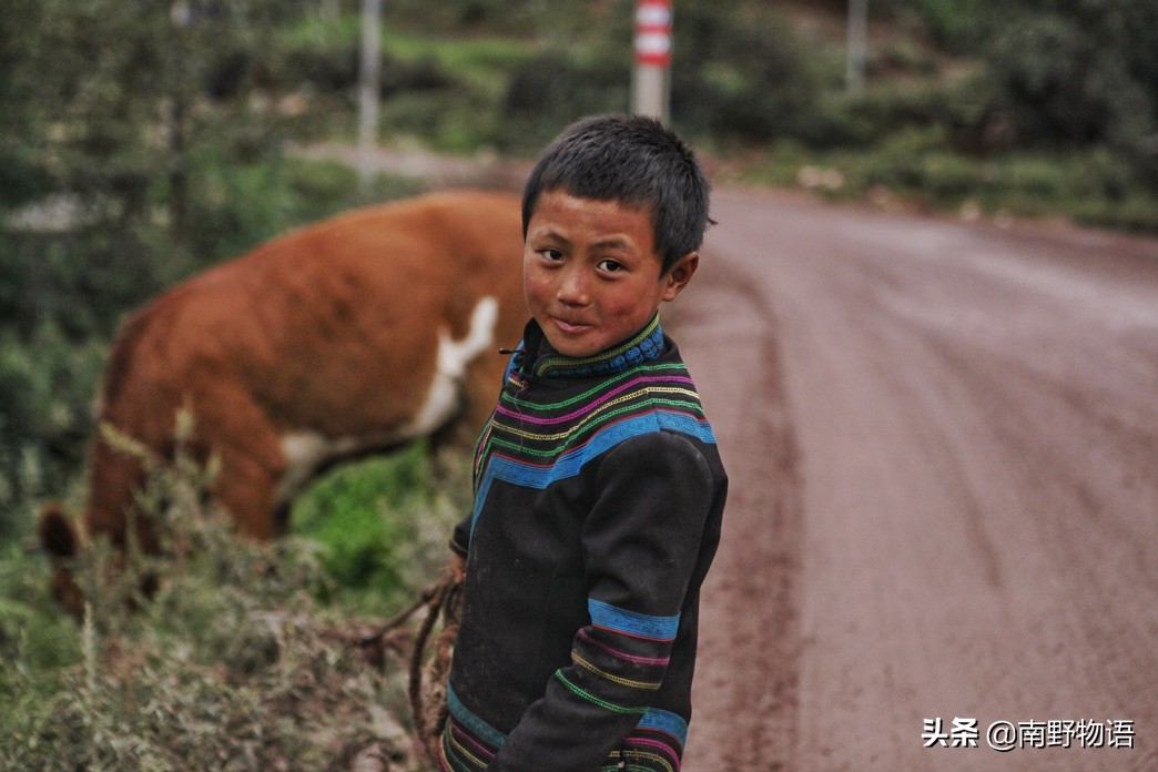 彝族一个追求太阳的民族,彝族古老的民族