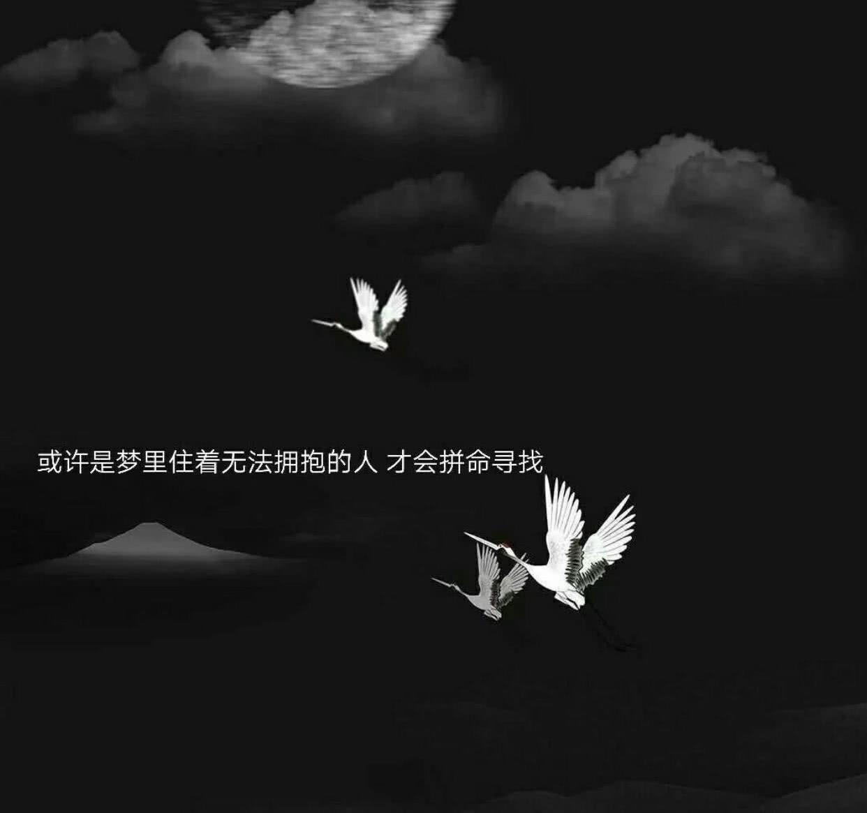 有些东西一旦破碎就回不去了,其实所有东西碎了都无法弥补