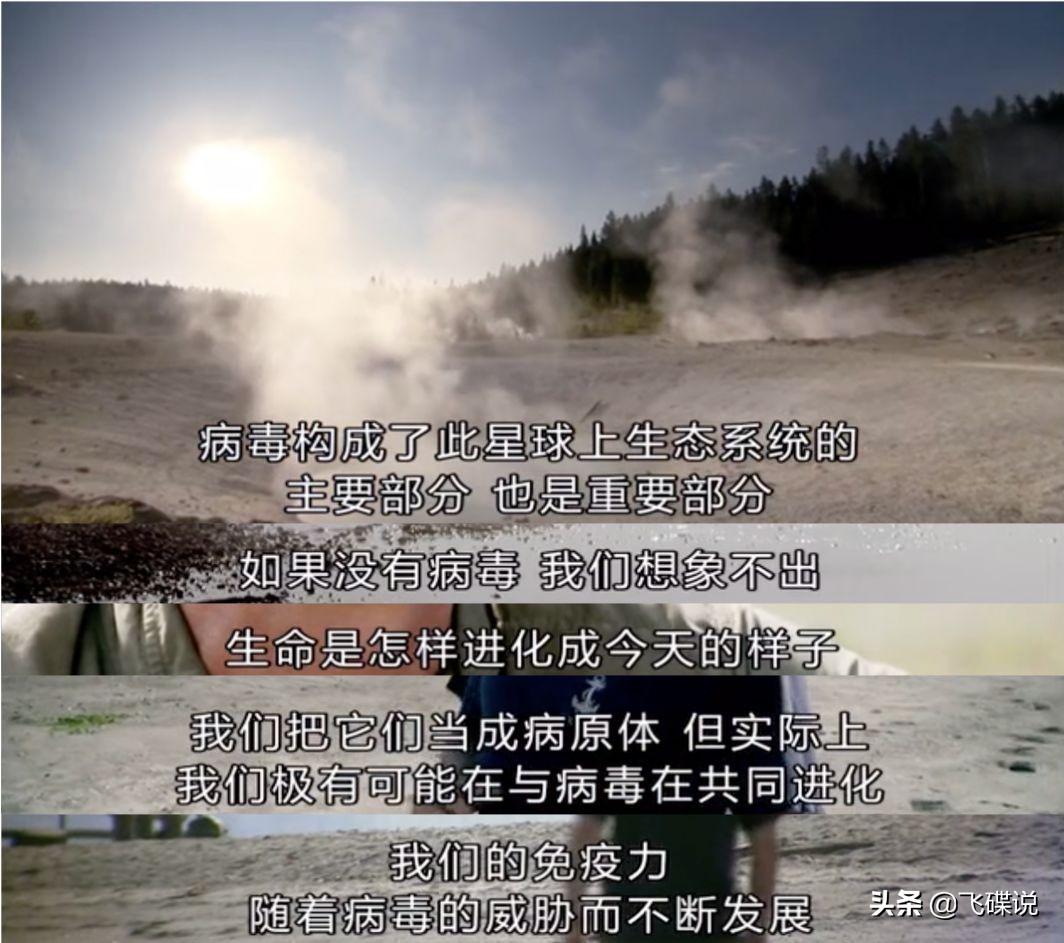 疫情下彻底看清了人性,疫情下摆正心态