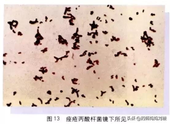 疮疡病的克星,清创宝典