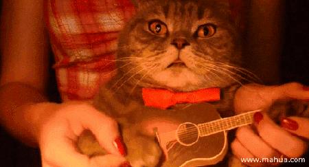 微商和代购最新规定,微商代购新规