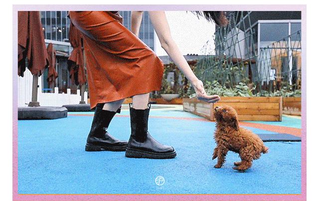 LCM号小行星三周年巧遇中秋,办了场狂欢盛典,超嗨皮,快来打卡