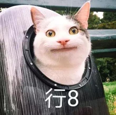 天猫旗舰店产品必须带品牌么,天猫旗舰店阿迪达斯耐克货物真假