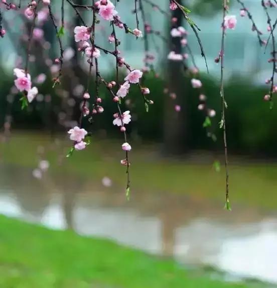 为人处世智慧增广贤文,处世奇书《增广贤文》原文