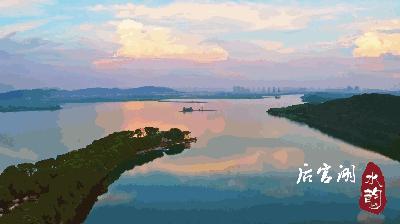 武汉蔡甸后官湖湿地公园,武汉后官湖湿地公园门票