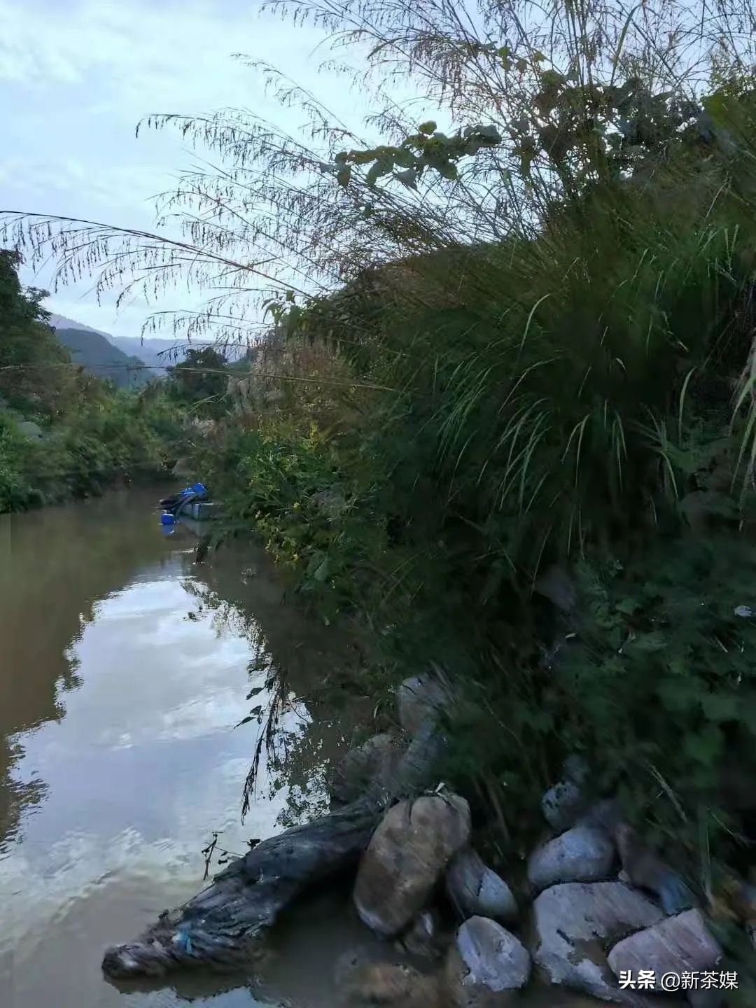 南糯山有什么景点,南糯山有哪些景点