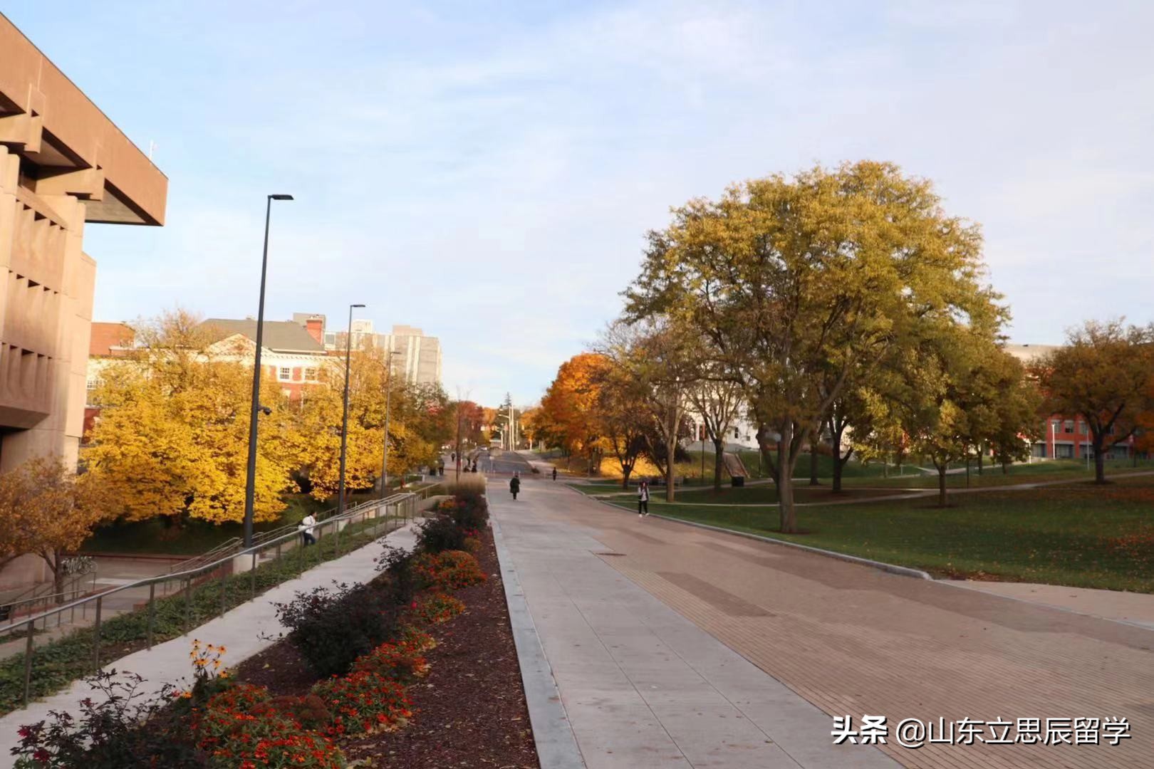 康涅狄格大学怎么样,康涅狄格大学拿过ncaa冠军吗