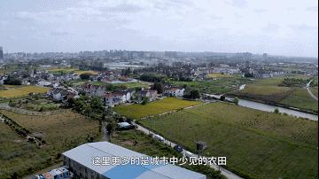 上海城市化的尽头——周浦，诱人「安家」也让人「逃离」