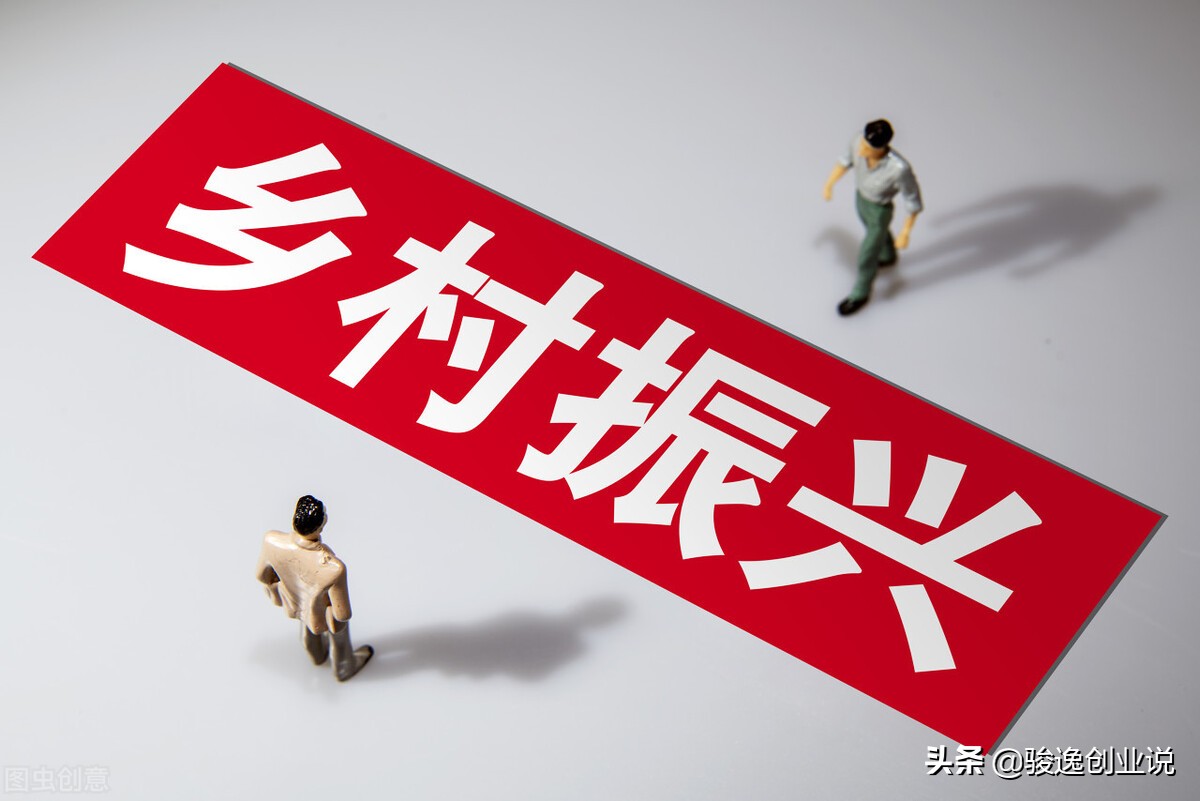 乡村振兴示范城市的四大商机,乡村振兴的四大商机农业投资项目