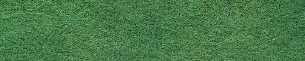 文房四宝纸怎么画,文房四宝纸介绍