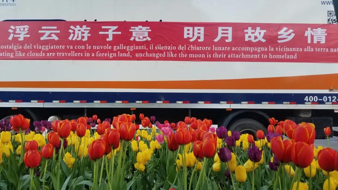 意大利已成“人间炼狱”，中国主动帮别国穿上防弹衣