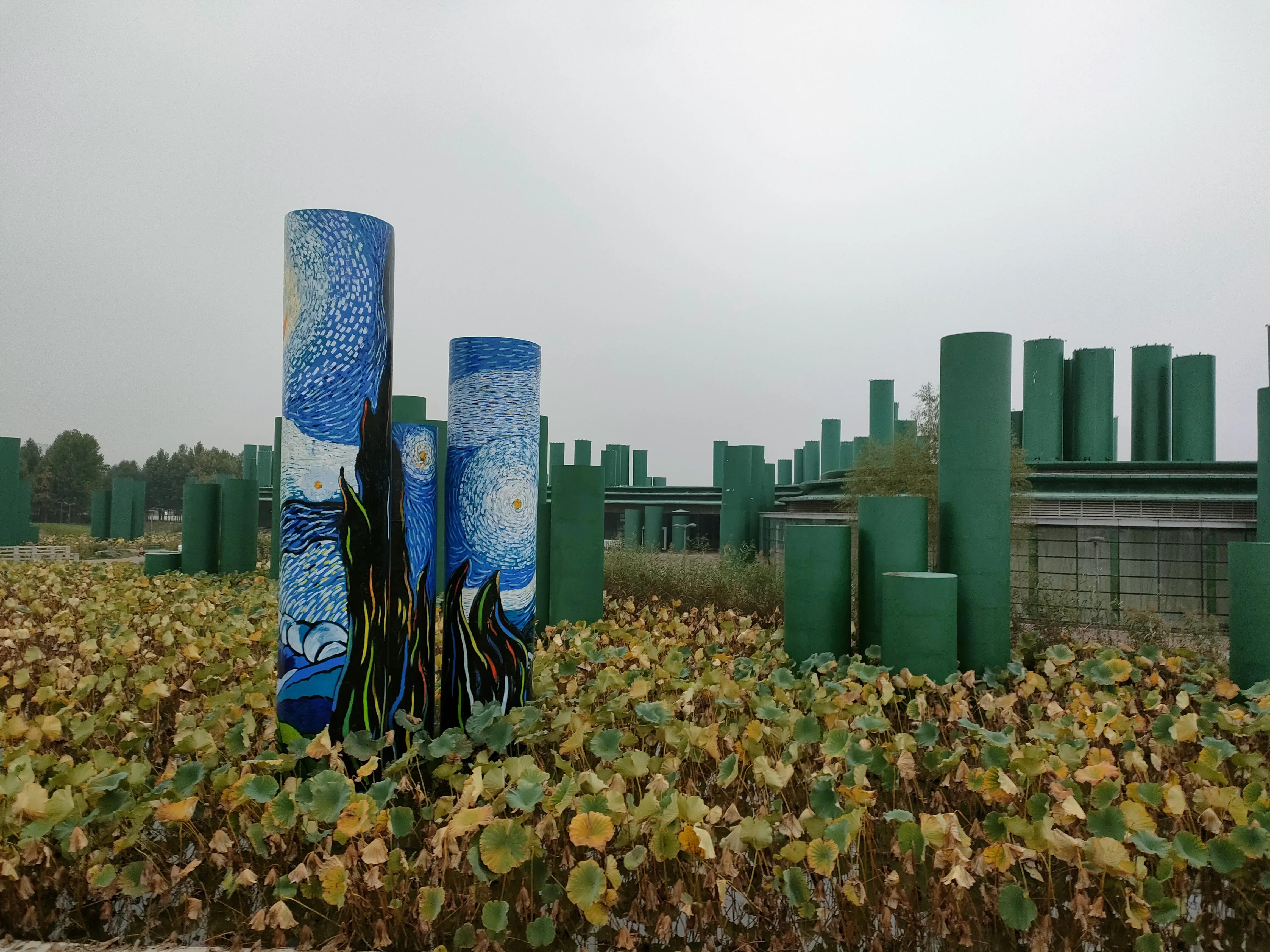 游西安曲江海洋极地公园,国庆去西安海洋极地公园