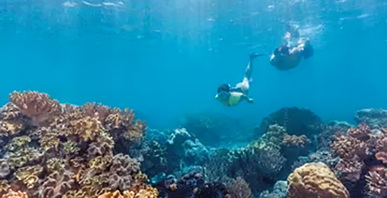南海康泰滩,康泰礁
