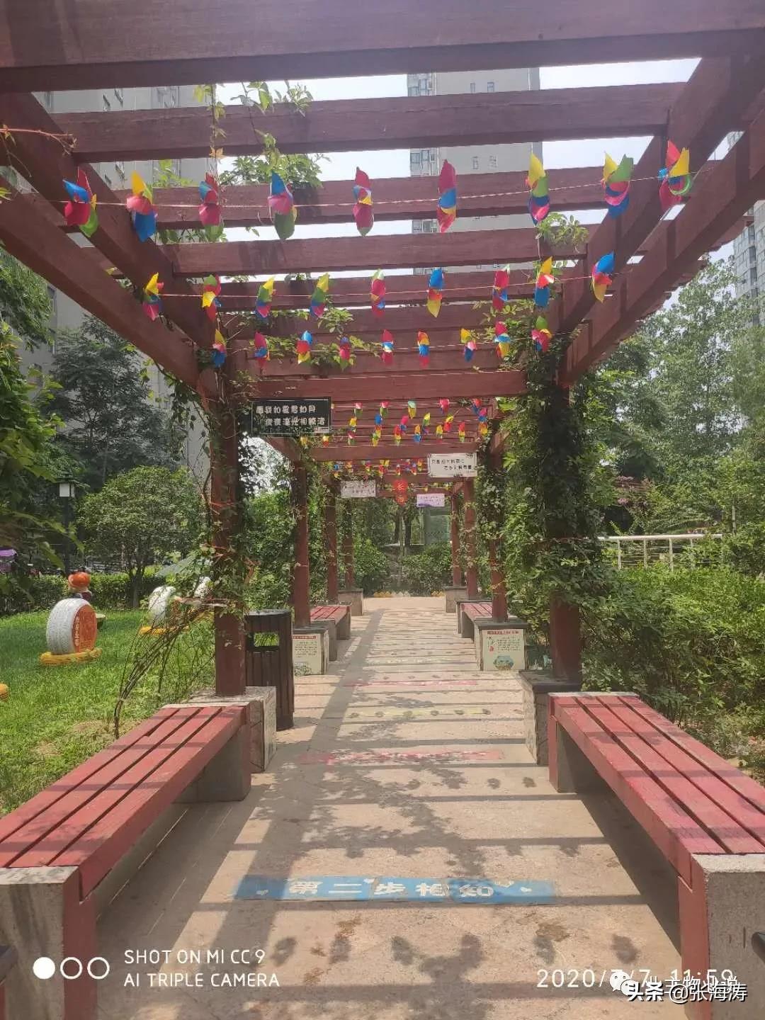 赞!旧貌换新颜,只因小区有了业主大会