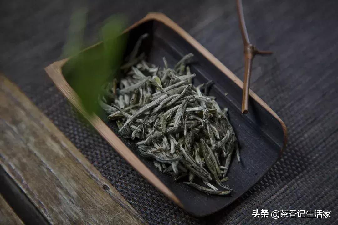 白茶好喝吗什么口感,是不是所有的白茶都是越放越好喝