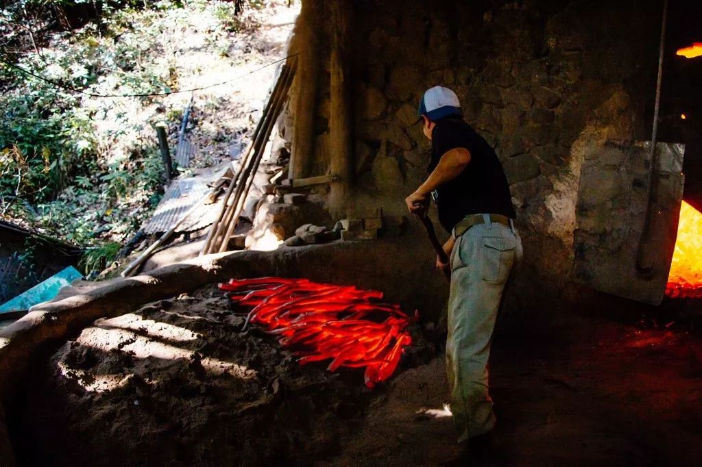 日本这个村种梅子每户年收16万，还种出了“世界文化遗产”