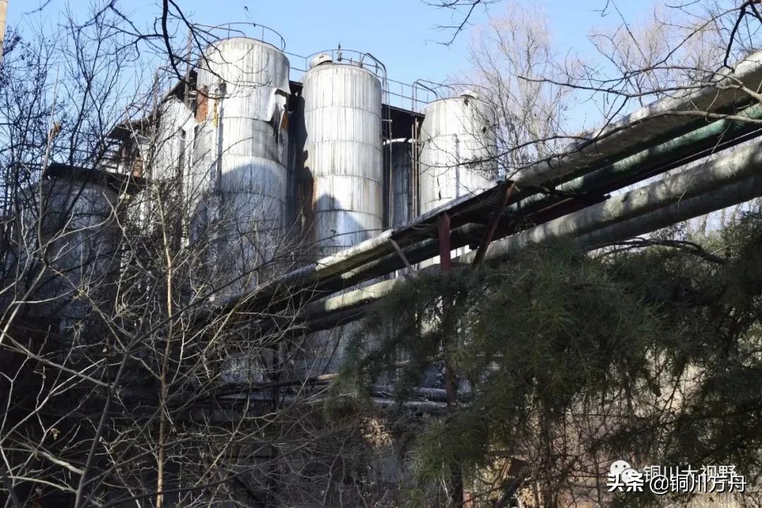 还记得当年啤酒的味道吗,铜川有什么啤酒品牌