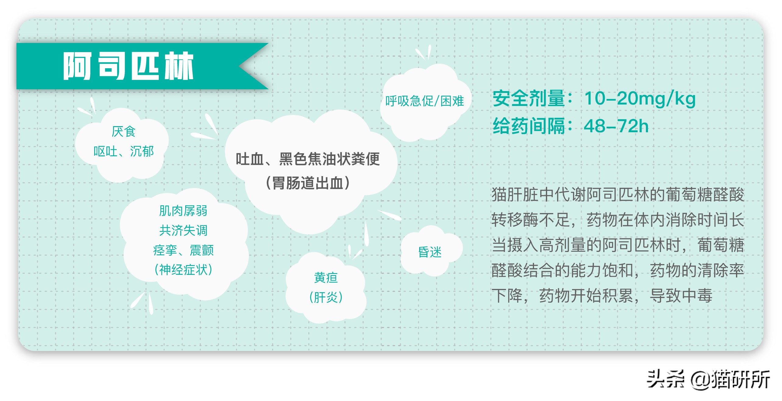 给猫粮投毒辟谣,猫吃人用感冒药吗