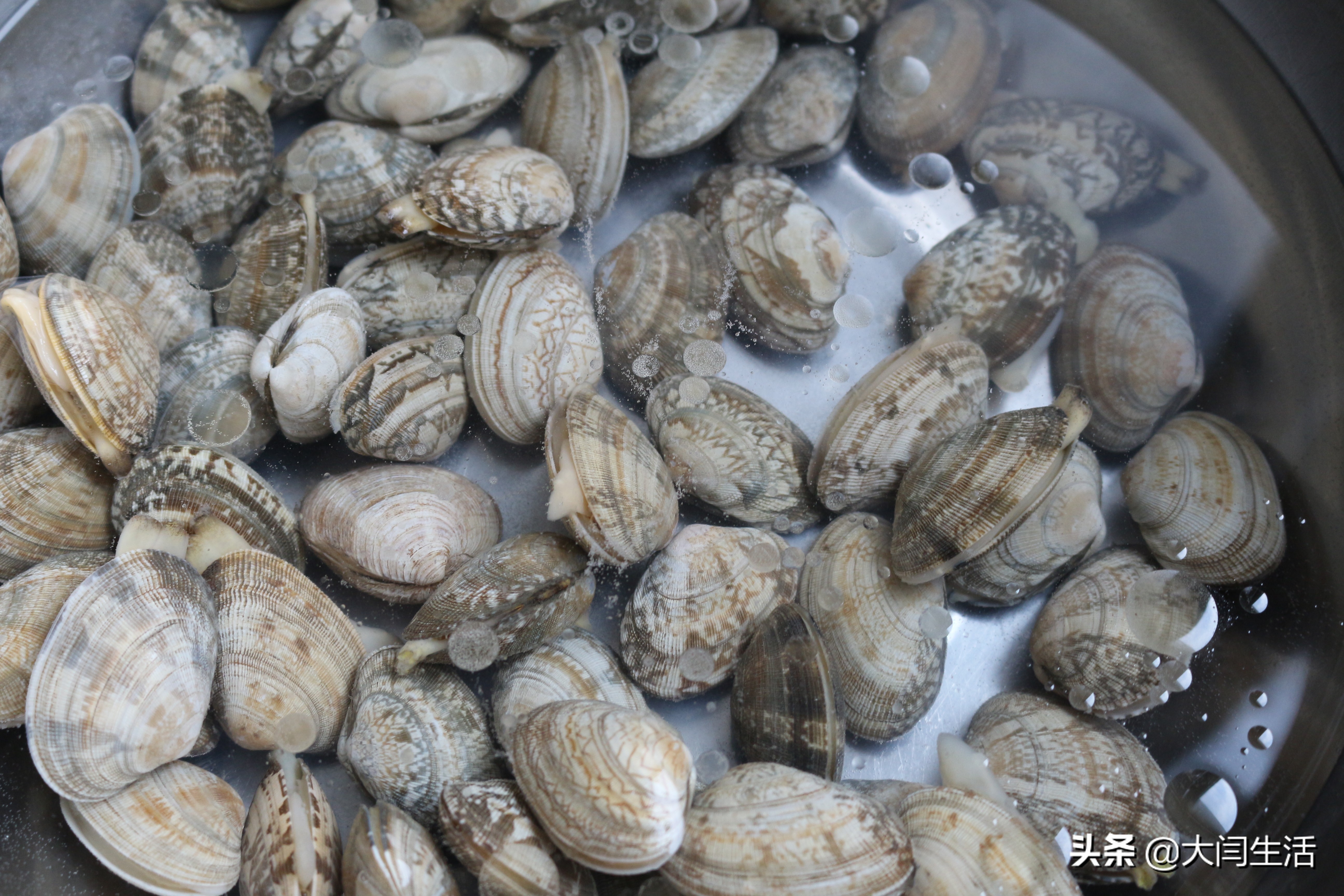 炒花蛤怎么吐沙干净,花蛤吐沙的正确做法