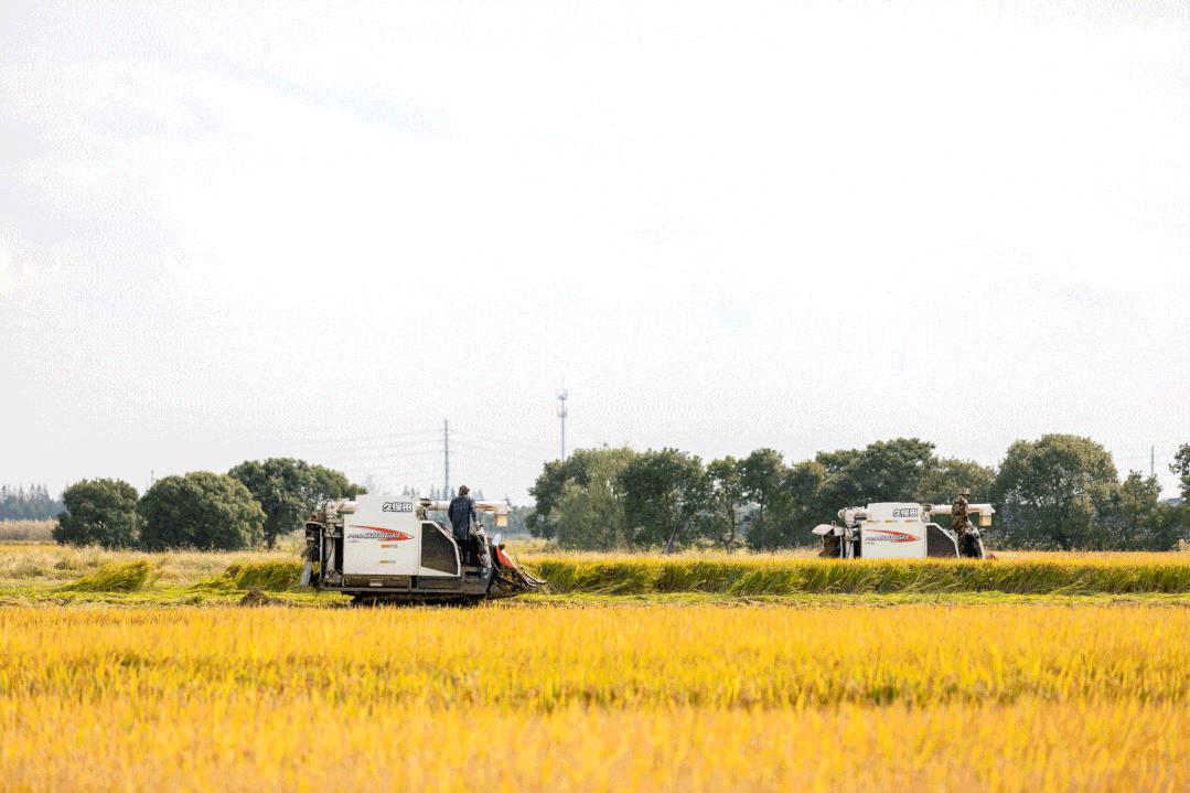 昆山限时特卖会,昆山大润发抢购