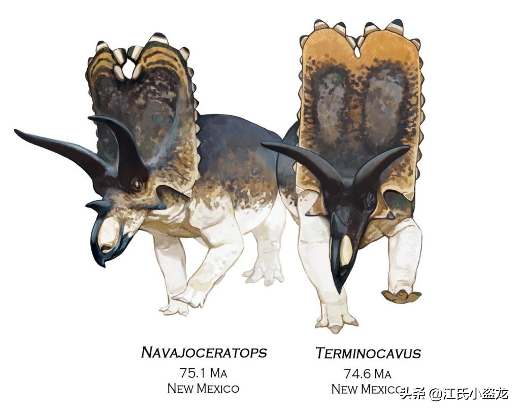 古生物时代有多少种恐龙,人类已经发现了多少恐龙种类