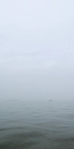 洪紫千出海记完整版 (出海记洪紫千视频)